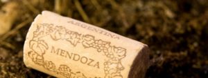 Viva Argentina, Let’s Cheers To Malbec Month!