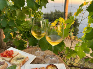 Sauvignon Blanc season is right around the corner. This vibrant white is perfect for warm weather entertaining.